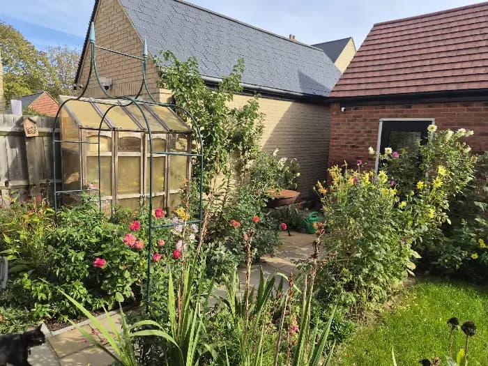 Chris's garden: a wooden greenhouse behind a metal arch, with dahlias in pink, yellow and white crowding the beds either side of a stone path.